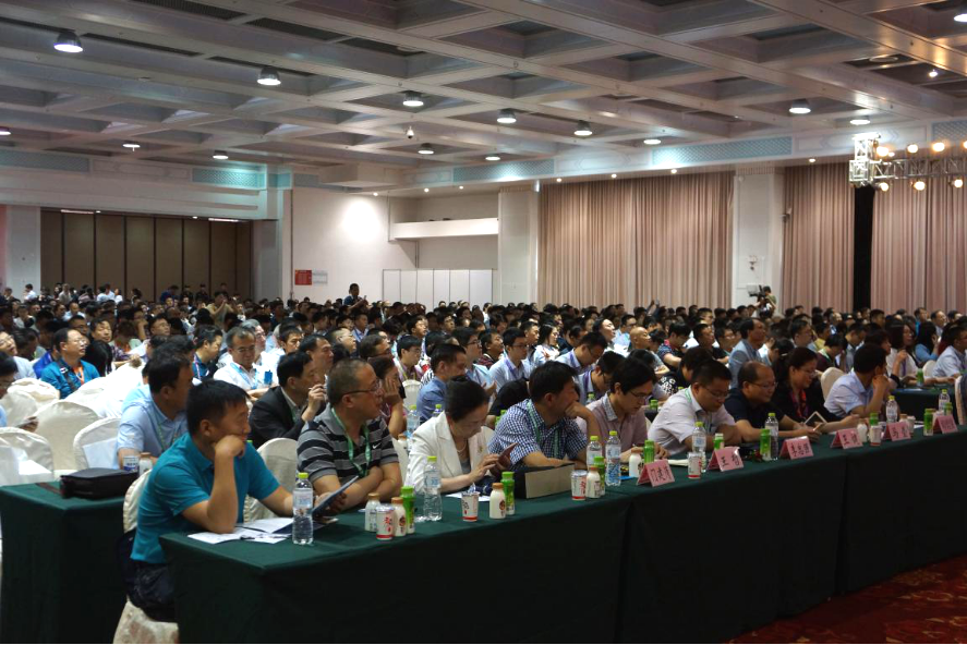 正版资料全年资料大全